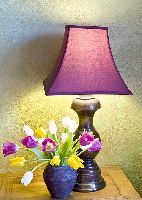 Casa Gallina - An Artisan Inn Taos Oda fotoğraf